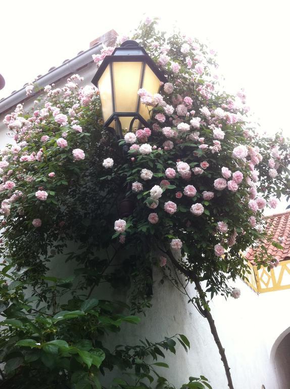 Patio Das Flores Ferreira Do Alentejo Buitenkant foto