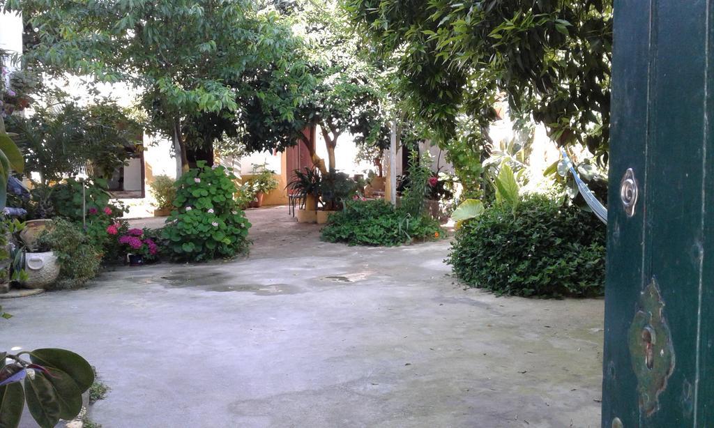 Patio Das Flores Ferreira Do Alentejo Buitenkant foto