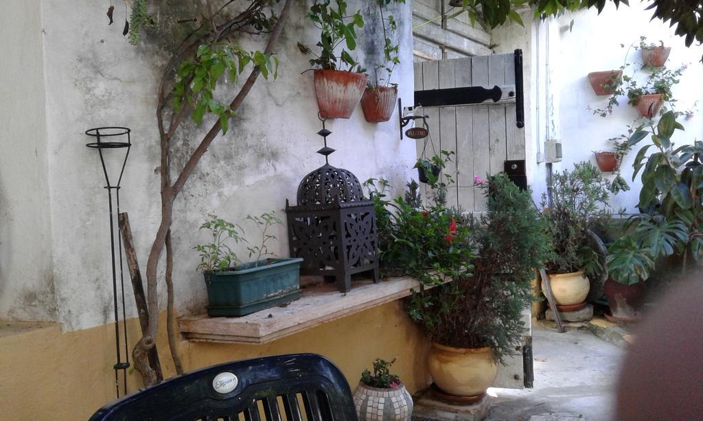 Patio Das Flores Ferreira Do Alentejo Buitenkant foto