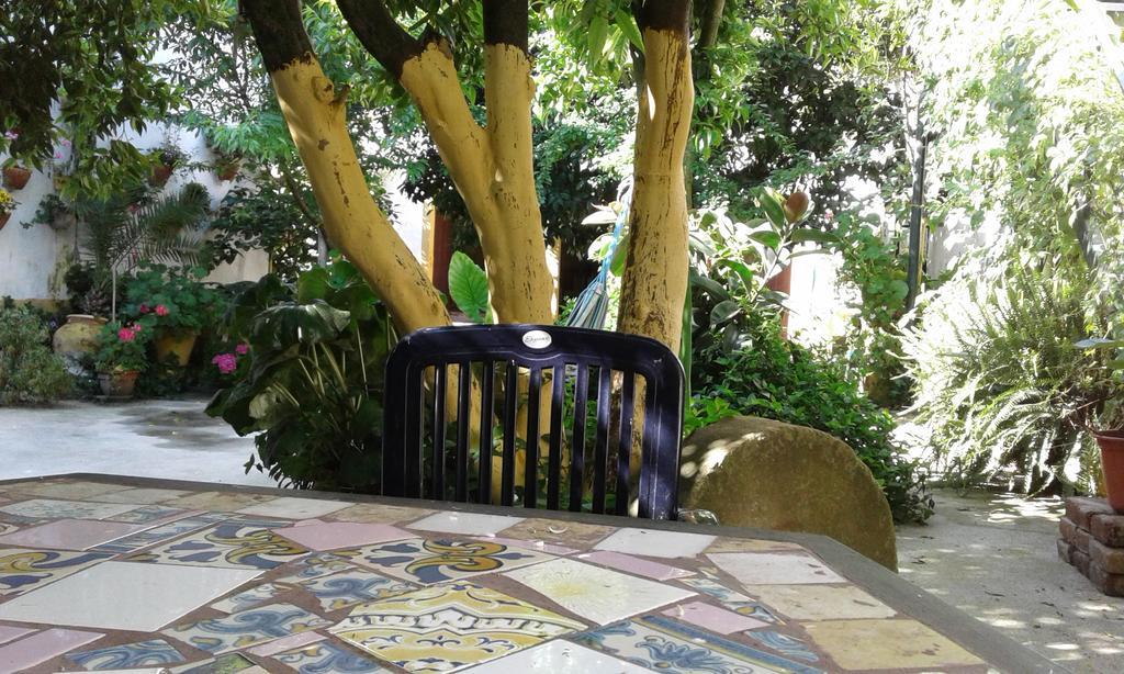 Patio Das Flores Ferreira Do Alentejo Buitenkant foto