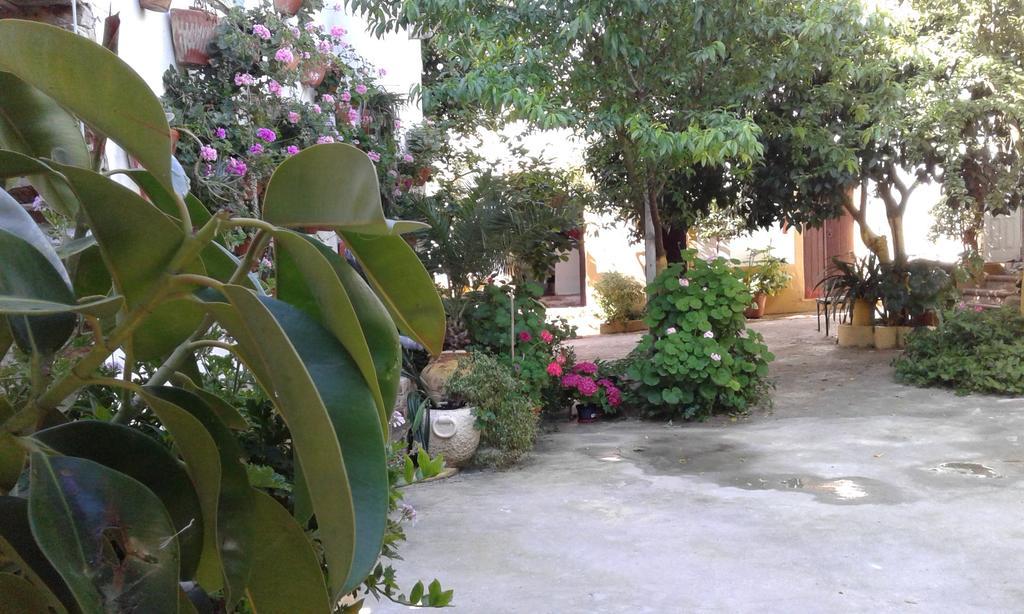 Patio Das Flores Ferreira Do Alentejo Buitenkant foto